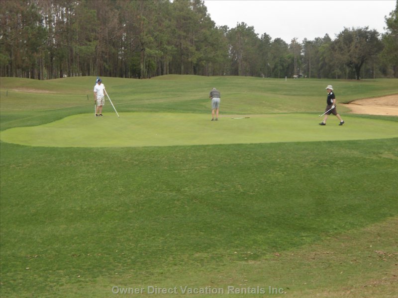  vacation rentals united states florida davenport  n hampton dr 