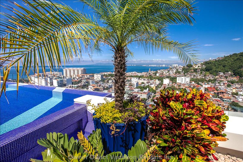  v estrella vacation rentals vacation rentals mexico jalisco puerto vallarta 