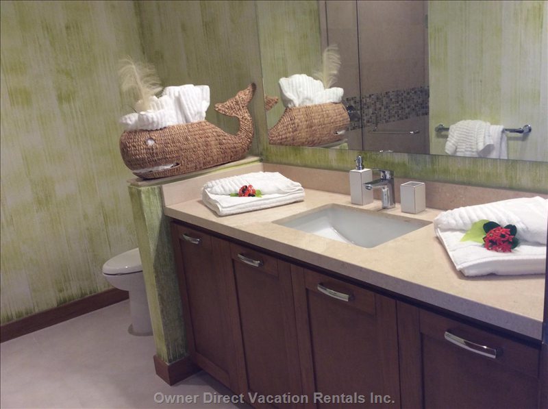  v estrella vacation rentals vacation rentals mexico jalisco puerto vallarta 