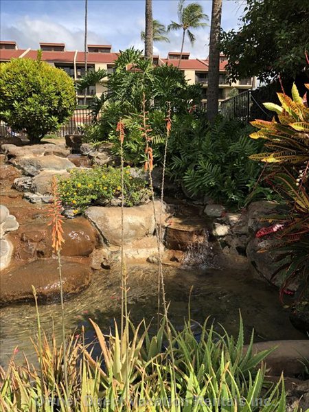  kamaole sands vacation rentals vacation rentals united states hawaii kihei 