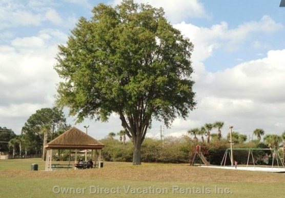  vacation rentals united states florida kissimmee  lonesome dove drive 