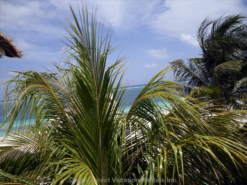  vacation rentals mexico quintana roo puerto morelos ave javier rojo gomez  