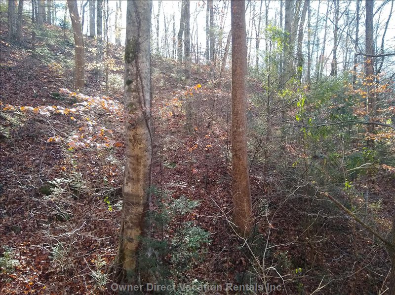  vacation rentals united states tennessee sevierville  cabin creek way 