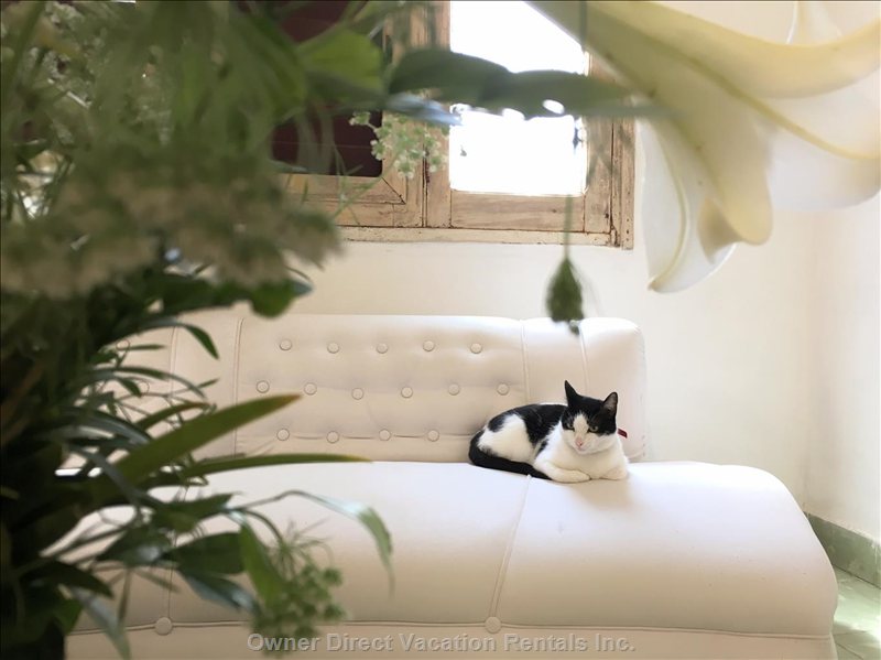  santa clara cuba vacation rentals vacation rentals cuba villa clara santa clara 