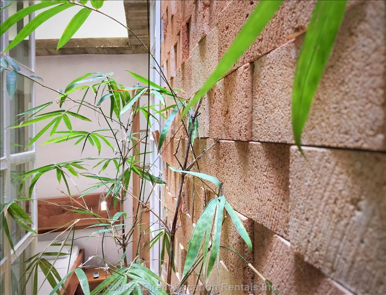  santa clara cuba vacation rentals vacation rentals cuba villa clara santa clara 