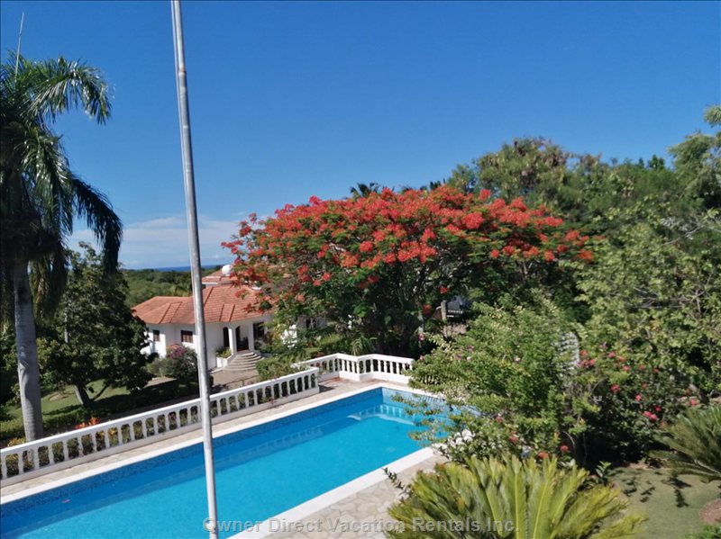  sosua vacation rentals vacation rentals dominican republic puerto plata province sosa 