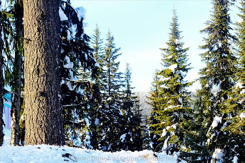  the knoll vacation rentals vacation rentals canada british columbia vernon 