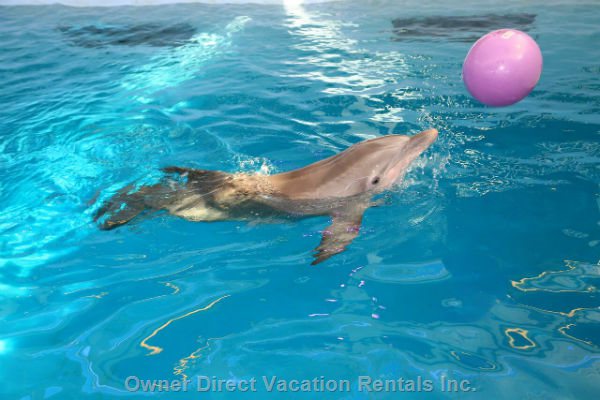  vacation rentals united states florida clearwater  s missouri 