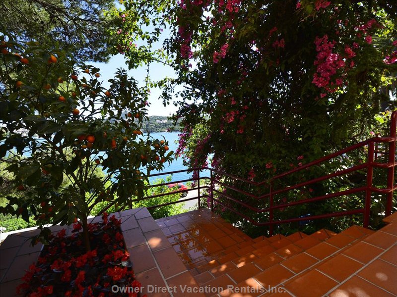  vacation rentals croatia dubrovako neretvanska upanija dubrovnik lozica 