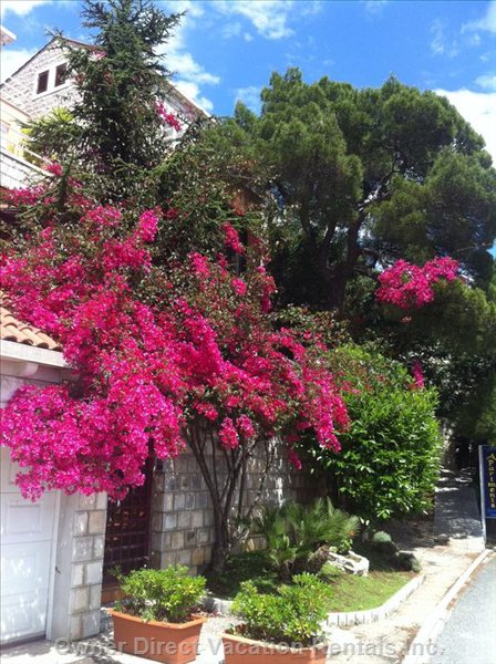  vacation rentals croatia dubrovako neretvanska upanija dubrovnik lozica 
