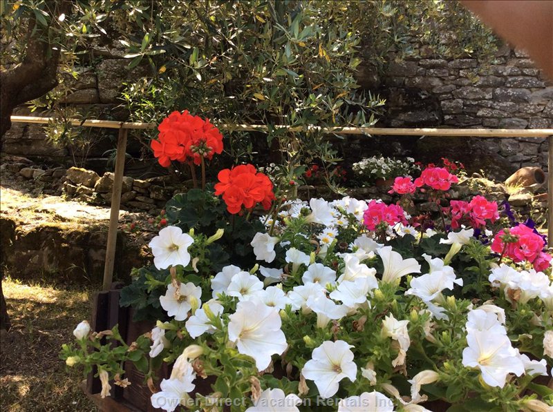  vacation rentals italy toscana fiesole via giovan battista sermei a 