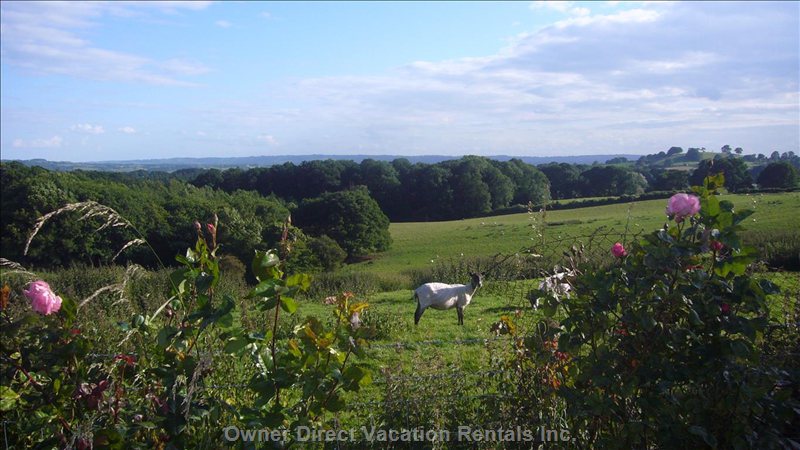  milson vacation rentals vacation rentals united kingdom england milson 