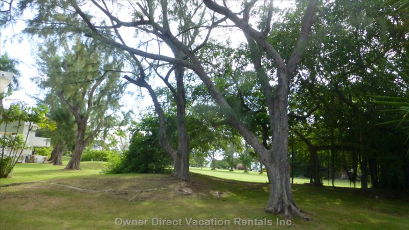  rockley golf country club vacation rentals vacation rentals barbados christ church bridgetown 