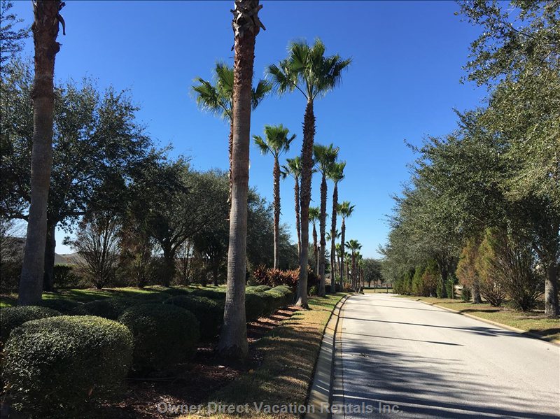  vacation rentals united states florida davenport  barbera drive 