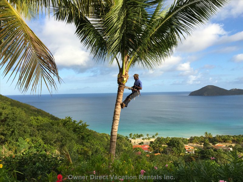 vacation rentals british virgin islands tortola parham town villa  lamberts beach 