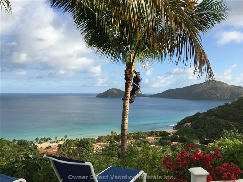  vacation rentals british virgin islands tortola parham town villa  lamberts beach 