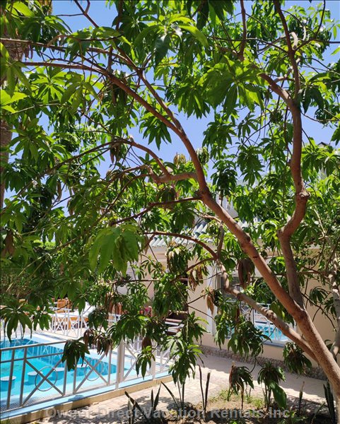  hurghada vacation rentals vacation rentals egypt red sea governorate hurghada 