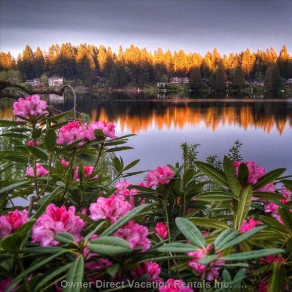  woodinville vacation rentals vacation rentals united states washington woodinville 
