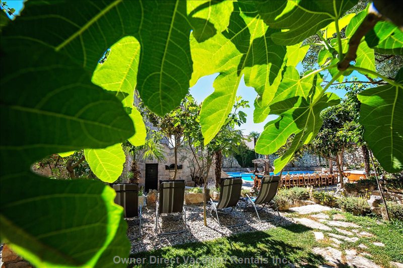  zmijavci vacation rentals vacation rentals croatia splitsko dalmatinska upanija zmijavci 