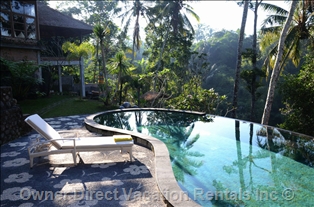 A tropical forest villa near Ubud, ID#204742