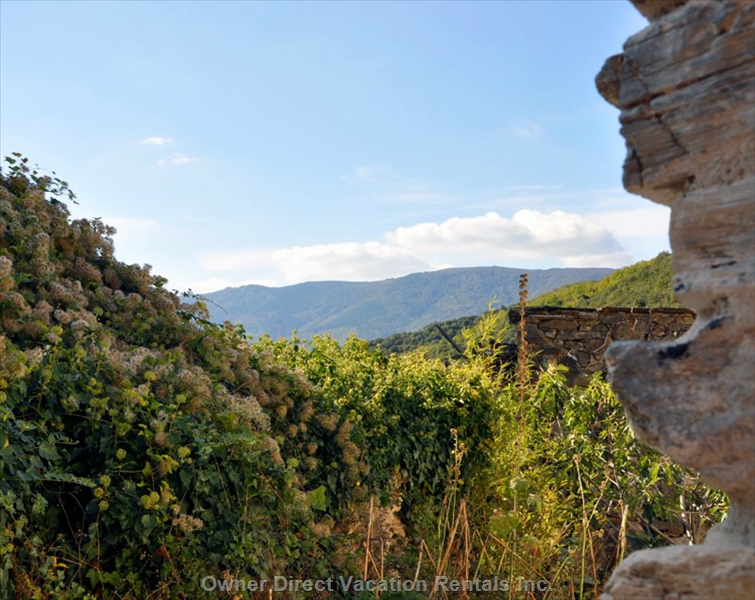 Retreat in the South of France - moutains, rivers, wine, and great food! ID#212750