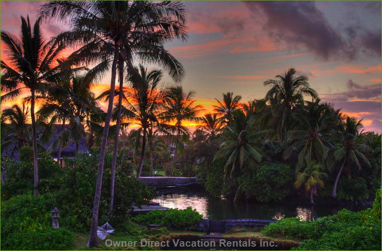 Kapoho, Hawaii ID#43825