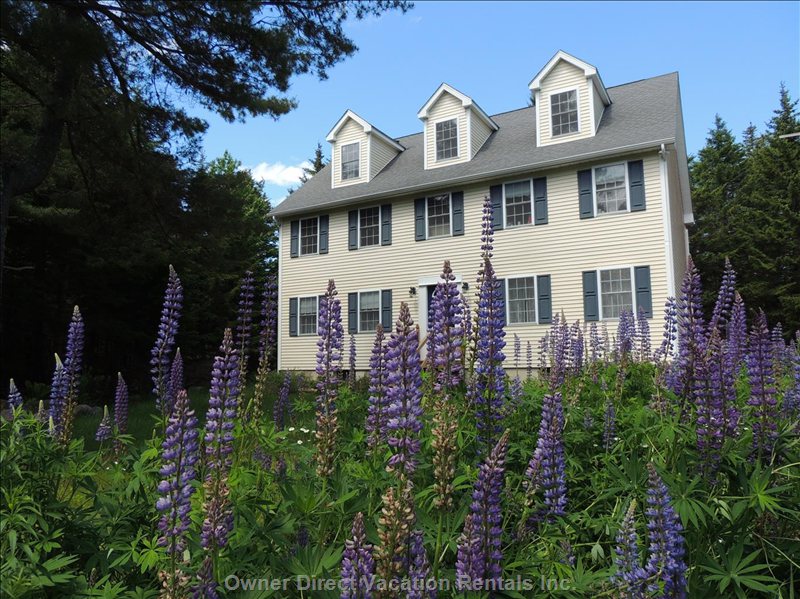 Affordable Acadia National Park Lodging (Max 5 per) near Bass Harbor Lighthouse ID#235773